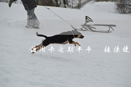 信用卡逾期半年 继续使用